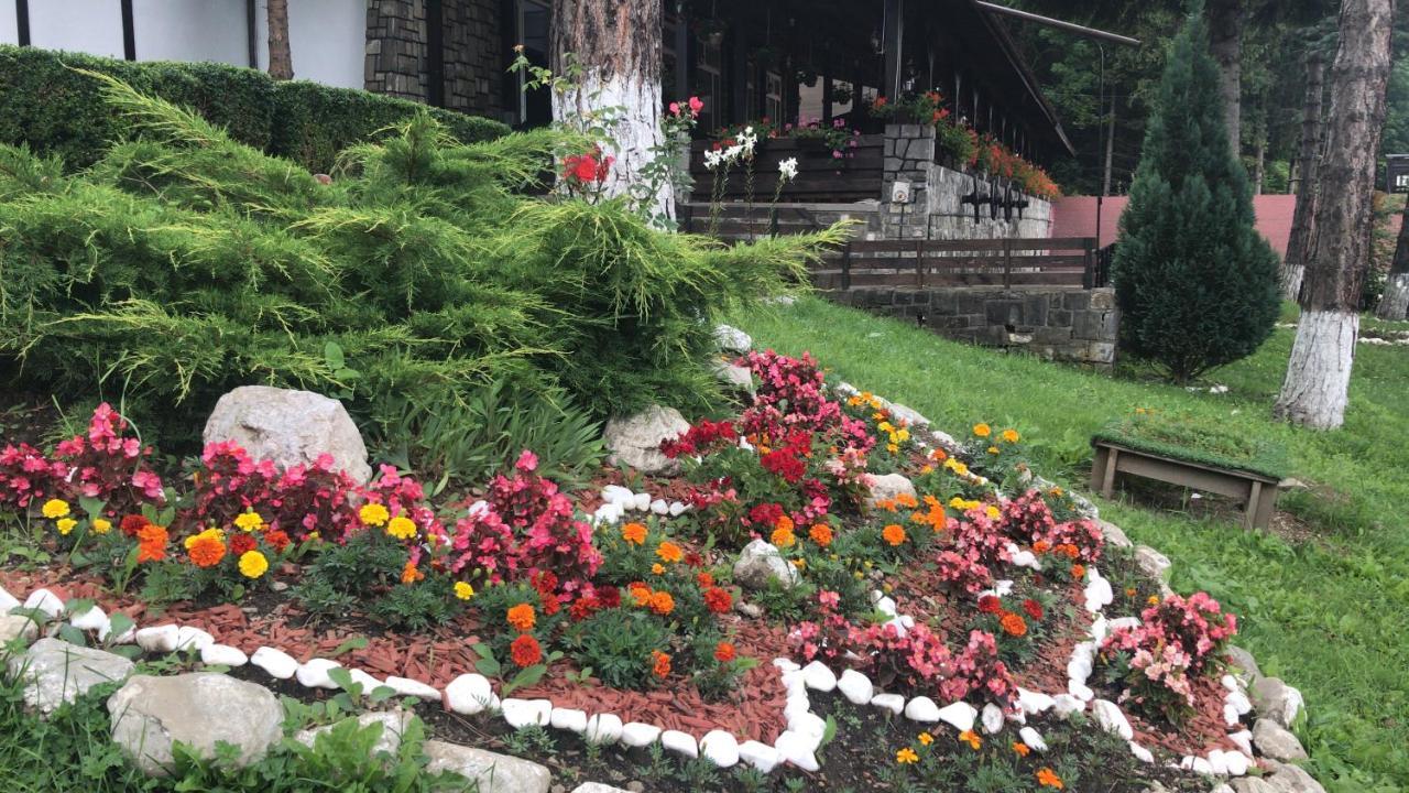 Hanul Izvorul Rece Sinaia Dış mekan fotoğraf
