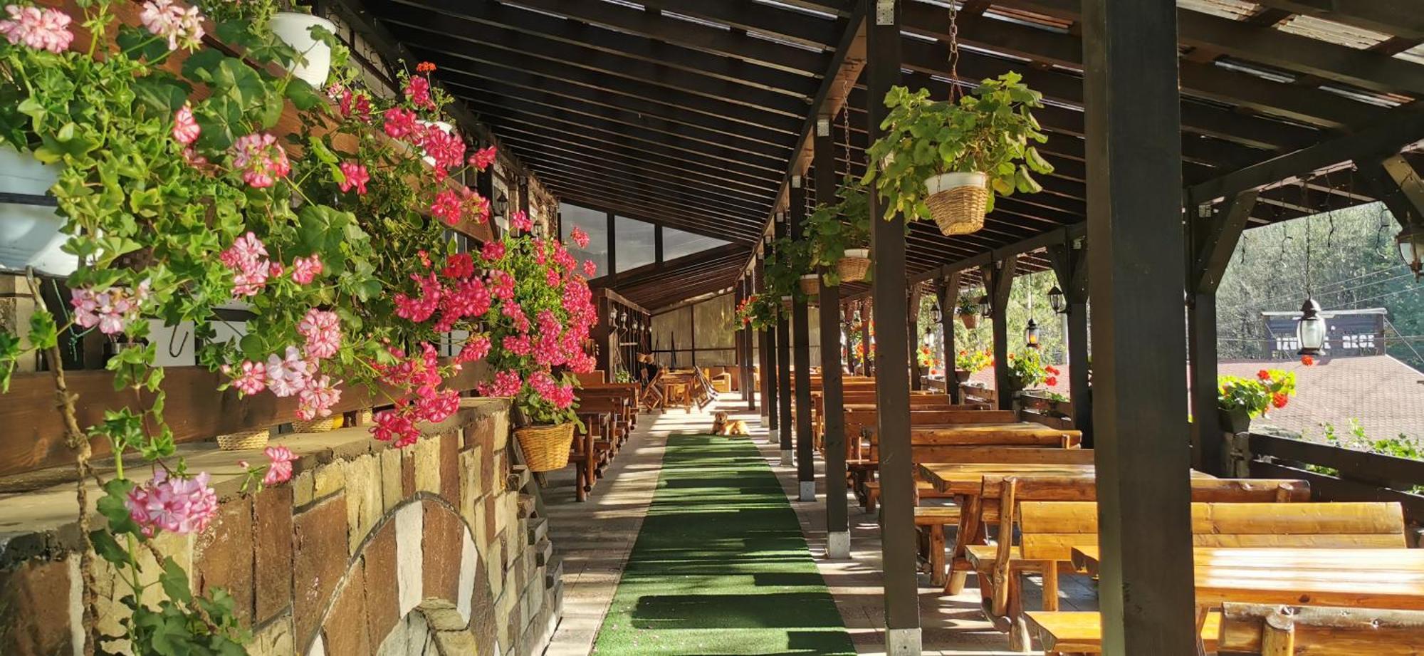 Hanul Izvorul Rece Sinaia Dış mekan fotoğraf